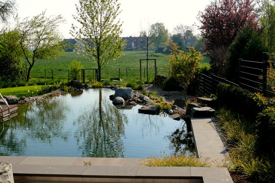 Nachher: Blick in den Garten mit Schwimmteich